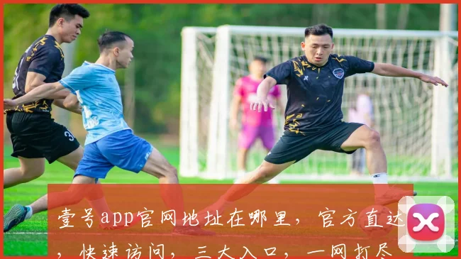 壹号app官网地址在哪里，官方直达，快速访问，三大入口，一网打尽