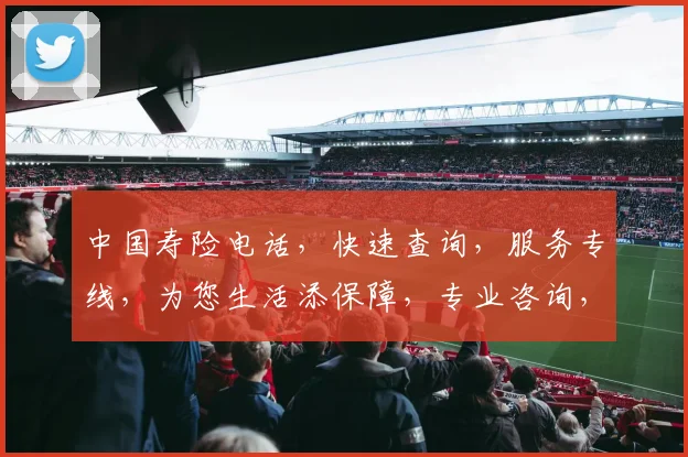 中国寿险电话，快速查询，服务专线，为您生活添保障，专业咨询，贴心服务，三个必看环节