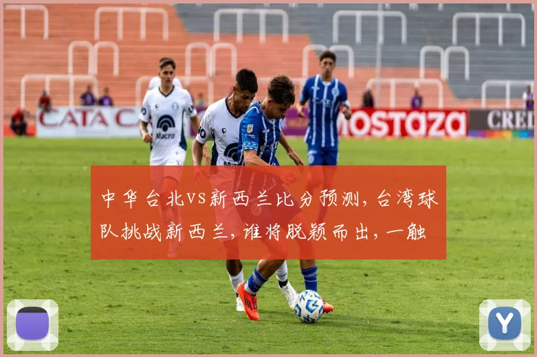 中华台北vs新西兰比分预测,台湾球队挑战新西兰,谁将脱颖而出,一触即发